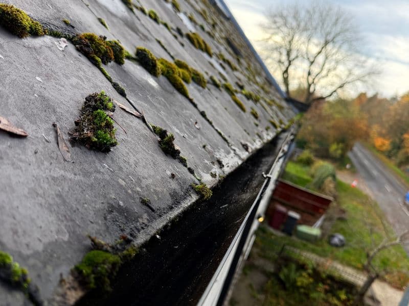 Gutter Cleaning & Unblocking - Professional service in South Yorkshire