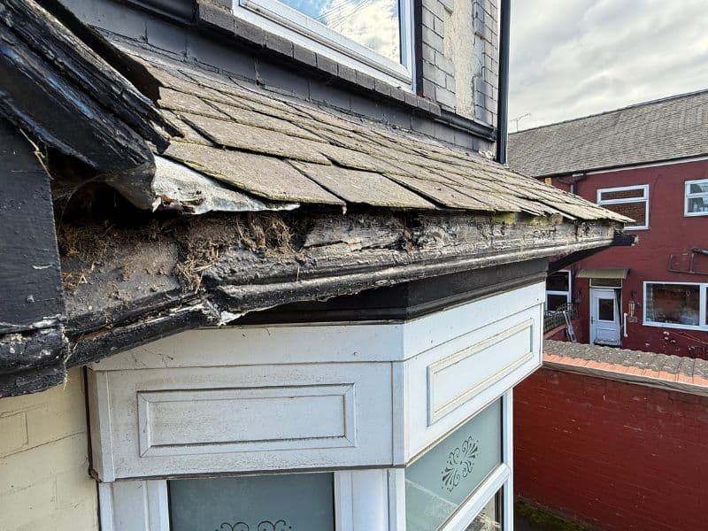 Roofline Cleaning & Moss Removal - Professional service in South Yorkshire